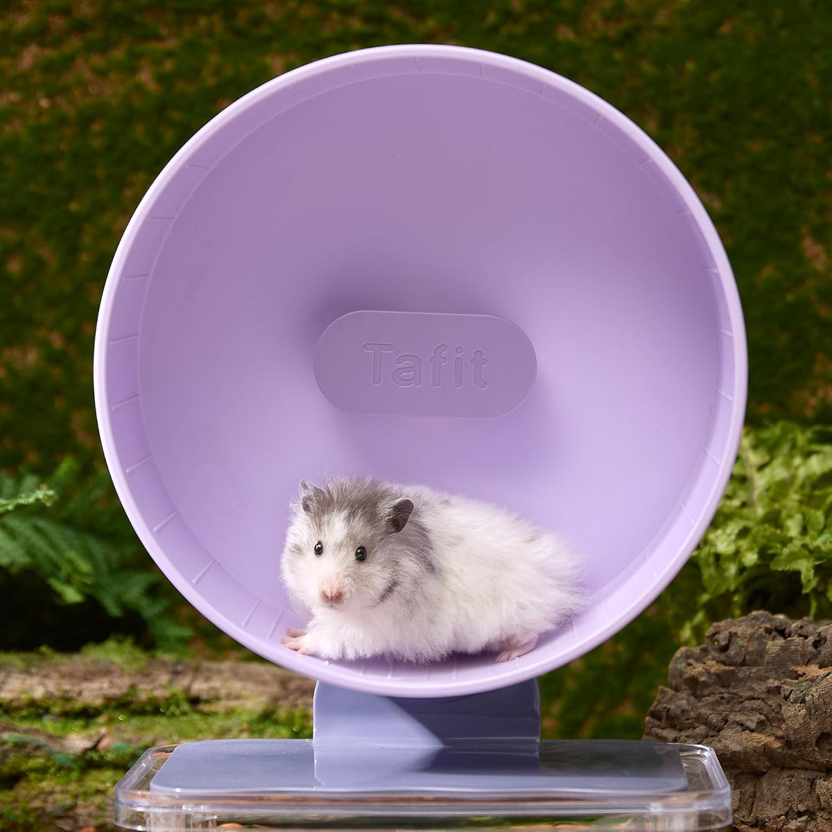 Silent Hamster Wheel 8.7 Inch Dual-Bearings Small Animals Quiet Running Exercise Wheels, Height