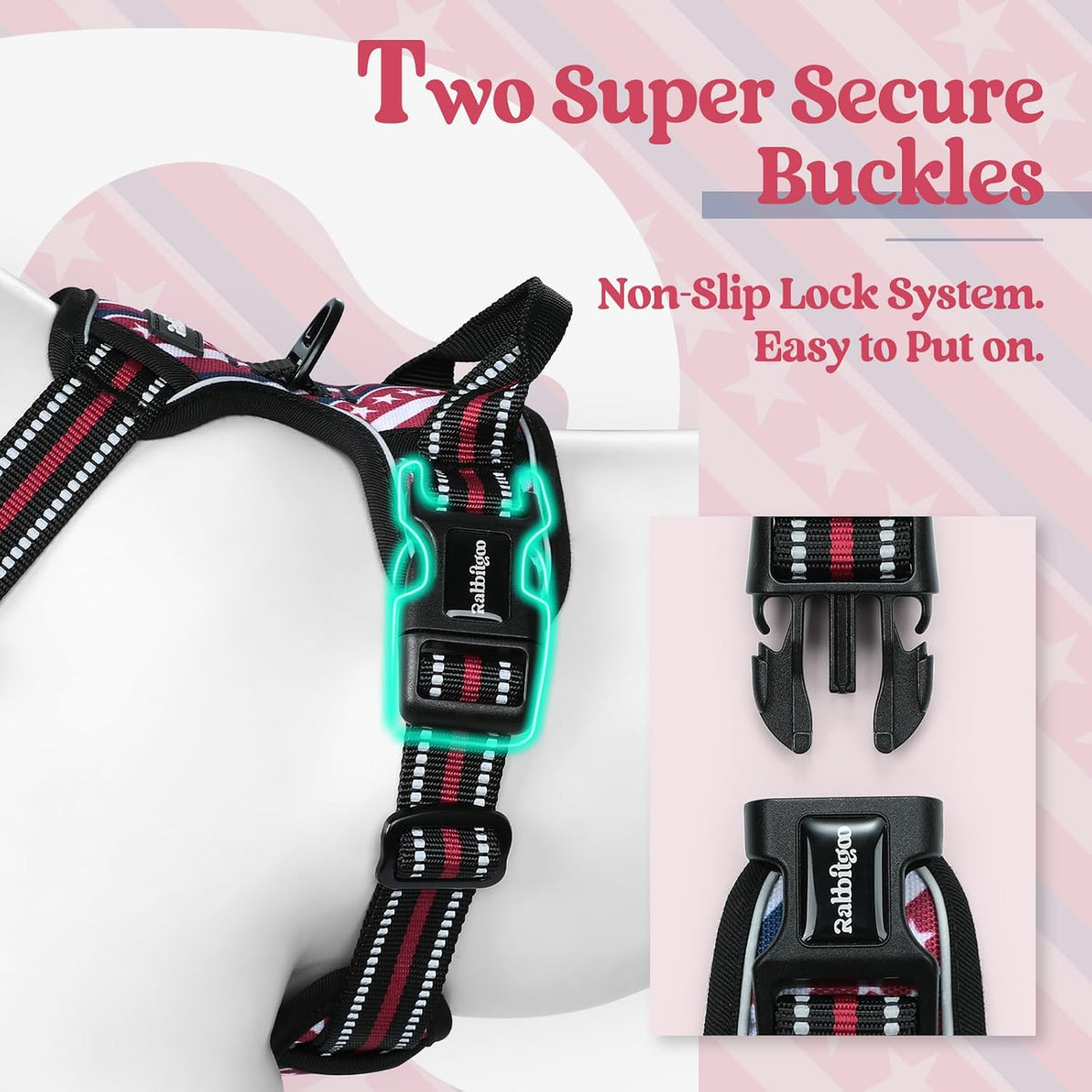 rabbitgoo Dog Harness No Pull with 2 Leash Clips, Adjustable Soft Padded, Reflective Oxford No