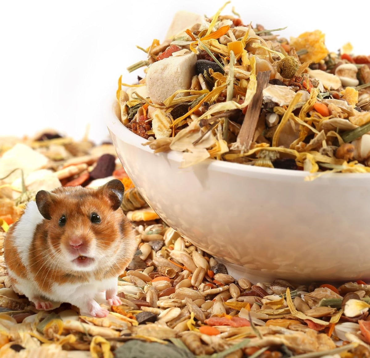 Gourmet Hamster & Gerbil Food, Dry Food for Hamsters-Supports Healthy Digestion and Healthy Teeth