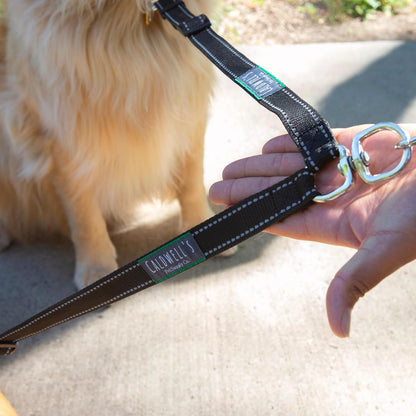 Caldwell's Pet Supply Co. Leash Coupler, Two Dog Leash Splitter to Split Leashes for Walking 2