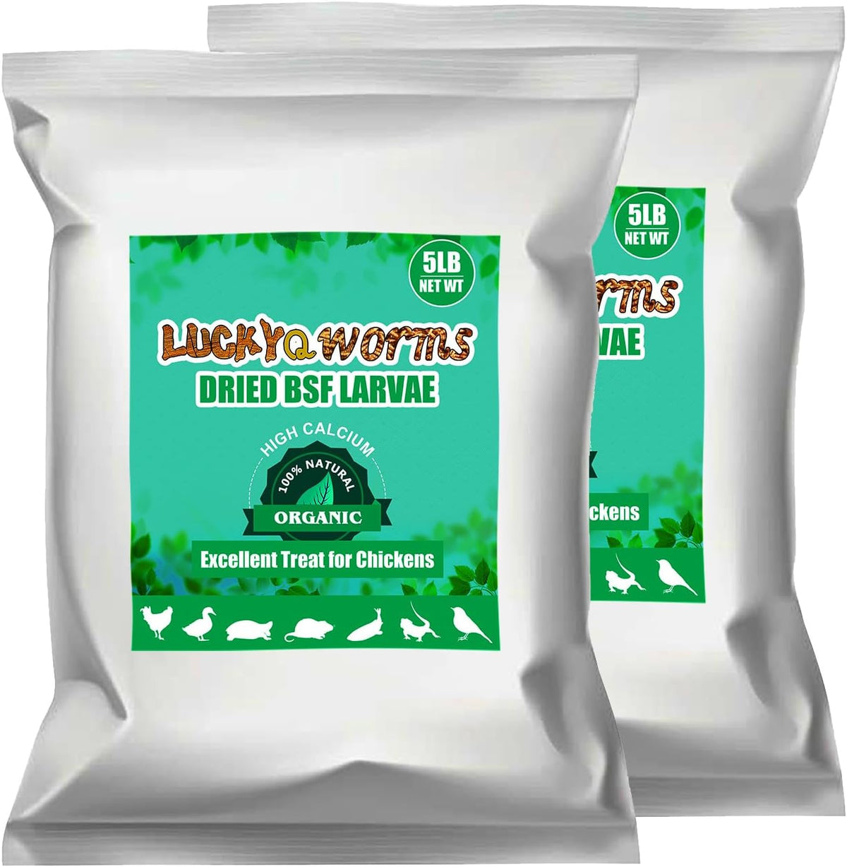 Dried Black Soldier Fly Larvae 10LBS, 85X More Calcium Than Mealworms High-Protein BSF Larvae