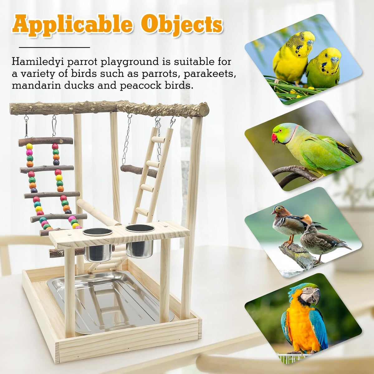 Hamiledyi Bird Playground Parrots Wood Perch Stand Cockatiel Playground Bird Play Gym Colours Climb