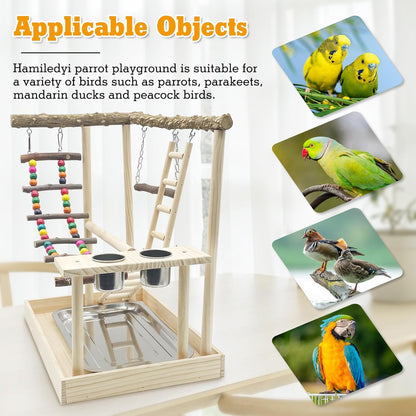 Hamiledyi Bird Playground Parrots Wood Perch Stand Cockatiel Playground Bird Play Gym Colours Climb