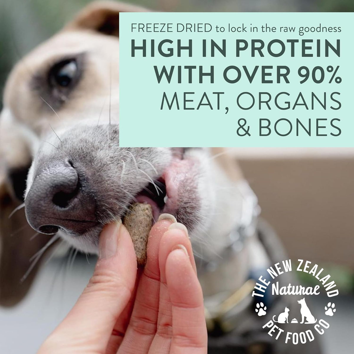 Woof Freeze Dried Dog Food - Wild Brushtail, High Protein, Complete Diet, Dog Treats, All Life