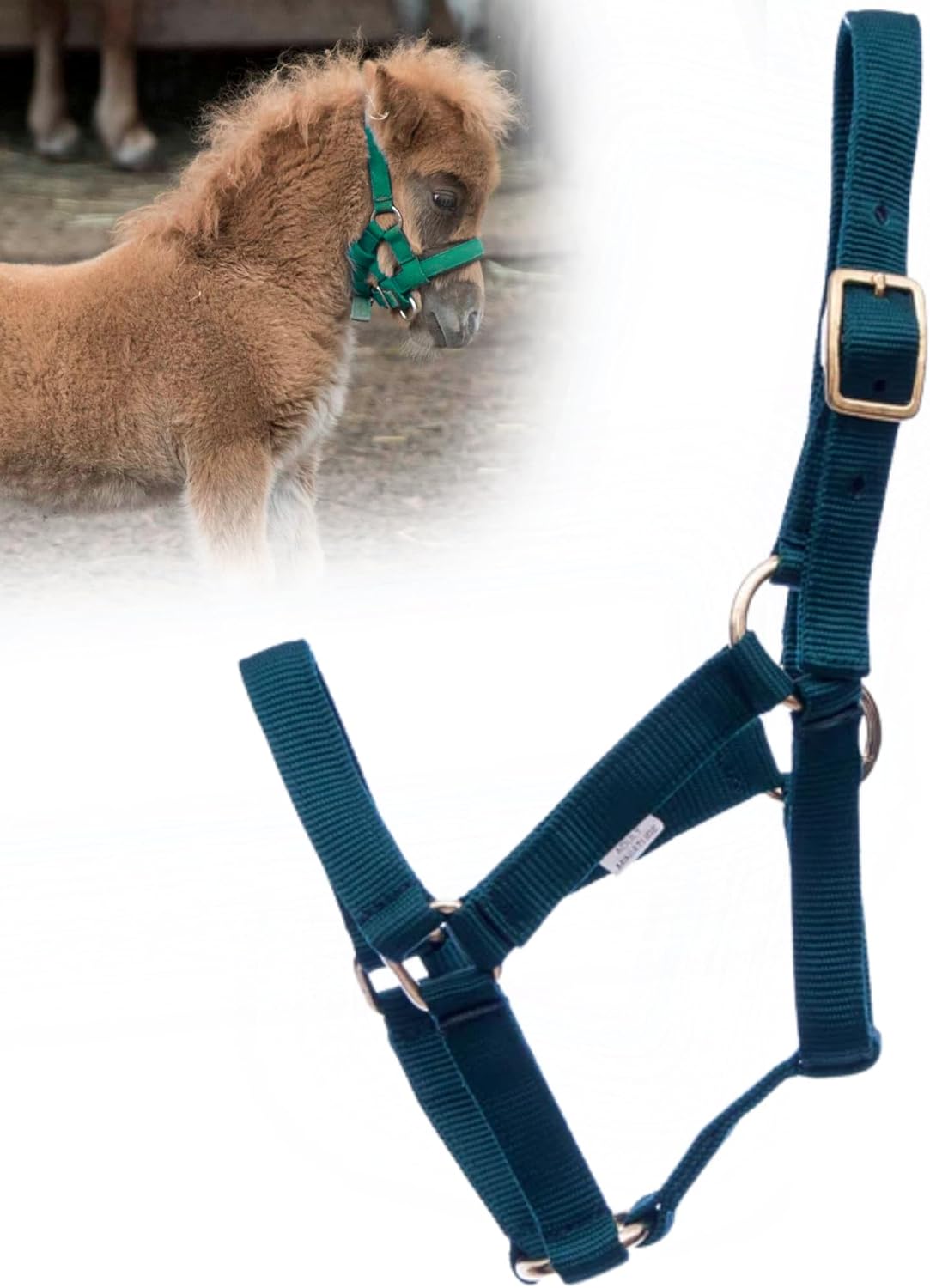 Jeffers Equine Mini Horse Halter – 3/4" Nylon Adjustable Halter for Miniature Horses, Ponies, Under