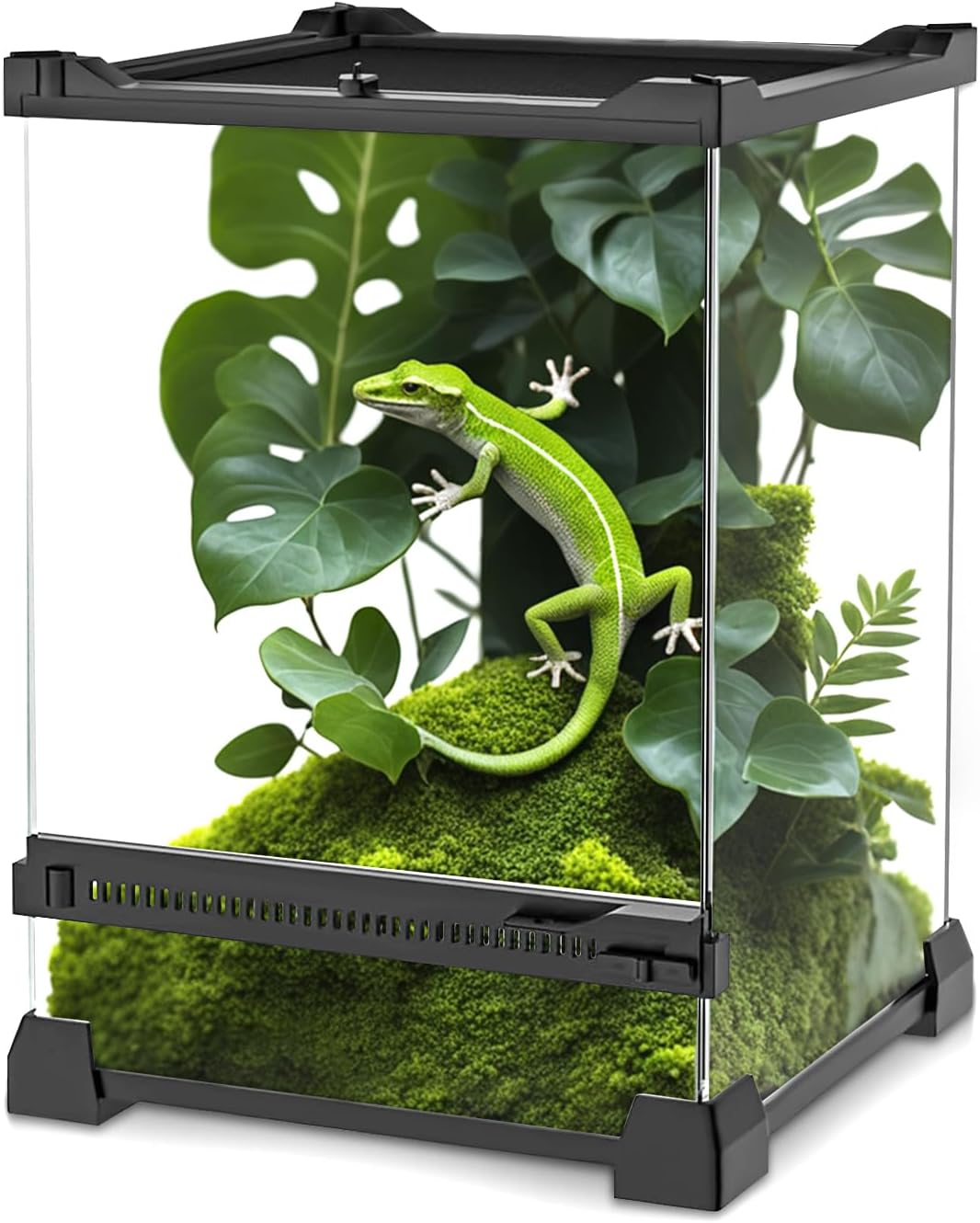 Mini Reptile Glass Terrarium 8"x8"x12" Durable Reptile Habitat Tank with Heat Resistant Aluminum