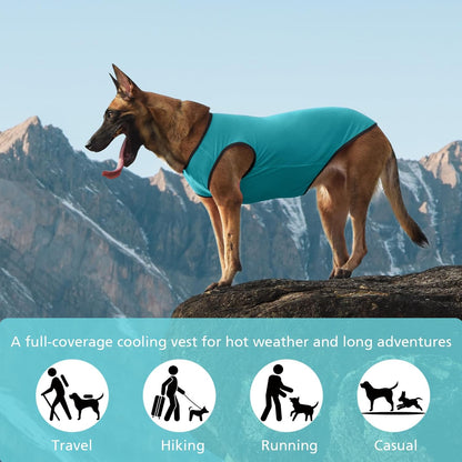 2 Pack Cooling Shirts for Dogs, Lightweight Mesh Breathable Dog Clothes for Large Dogs Boy