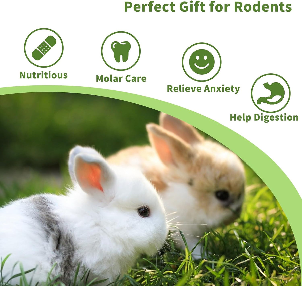 Fhiny Rabbit Chew Toys, 6 PCS 3.9" Natural Papaya Wood Chew Sticks Guinea Pig Treats for Dental