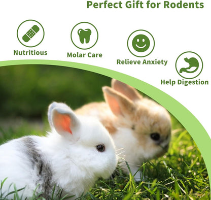 Fhiny Rabbit Chew Toys, 6 PCS 3.9" Natural Papaya Wood Chew Sticks Guinea Pig Treats for Dental
