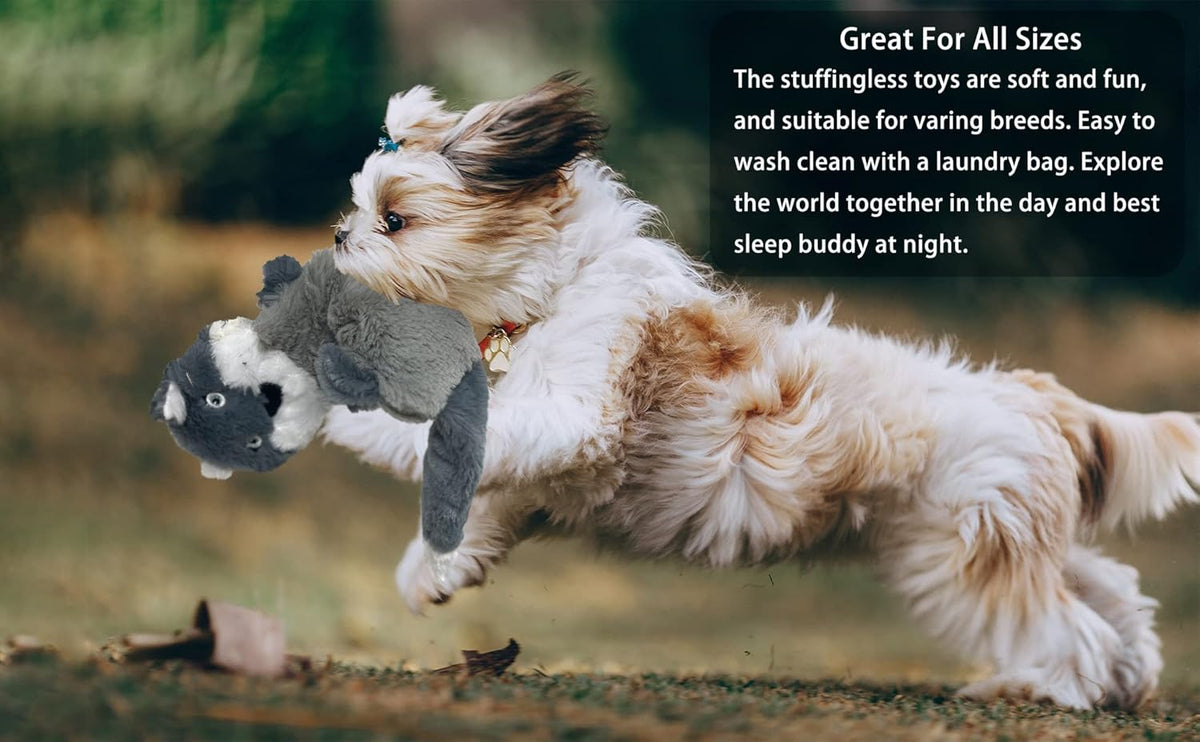 Jalousie 5 Pack Stuffingless Dog Squeaky Toys Dog Toy w/Durable Liner No Stuffing Dog Toy - Dog