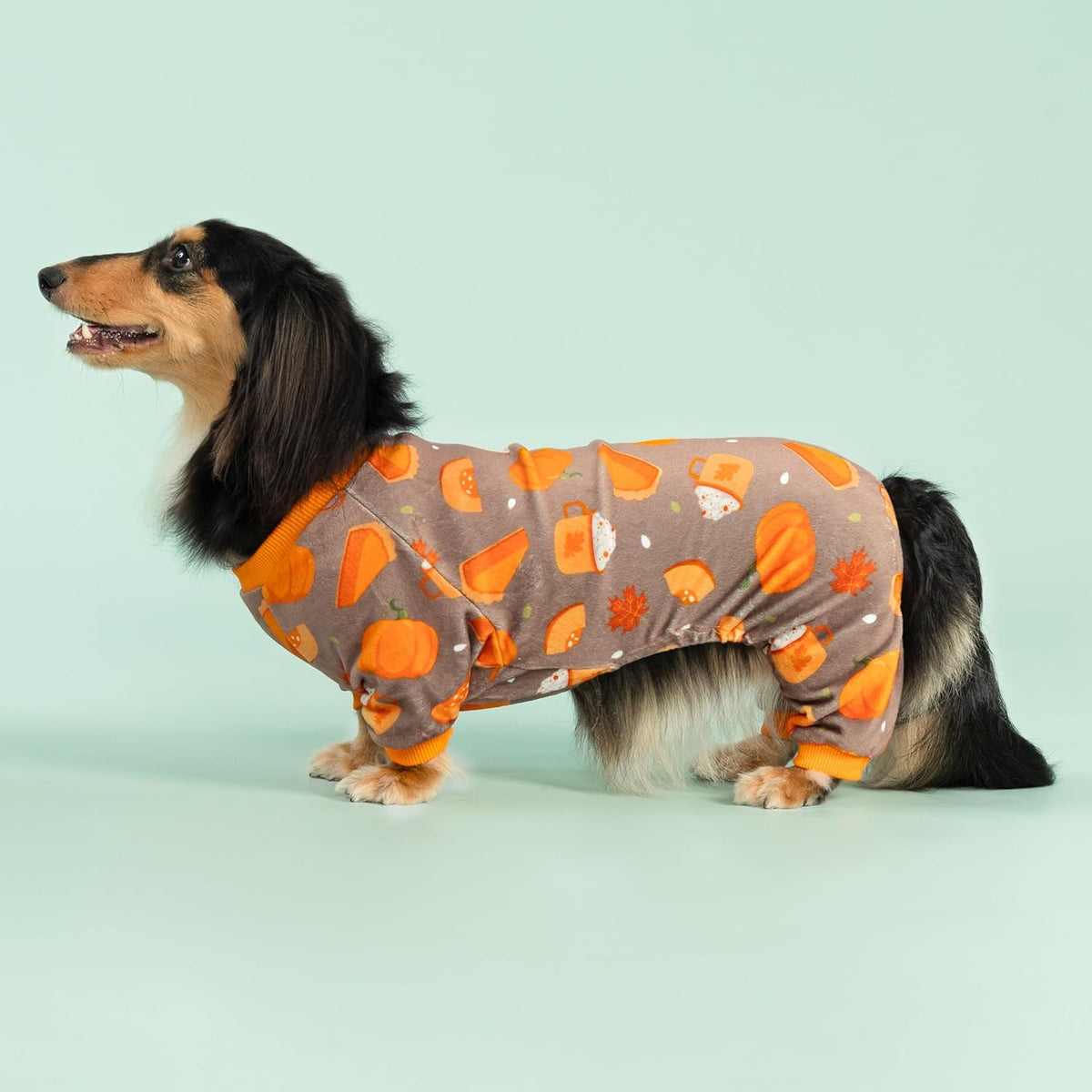 Fitwarm Pumpkin Dog Pajamas, Thanksgiving Outfit for Small Dogs Boy Girl, Pet Onesie, Brown