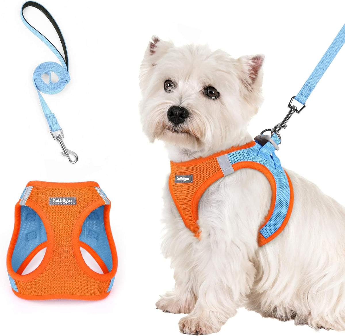 rabbitgoo Dog Harness Small Sized and Leash Set, Step in Soft Light Puppy Vest, Breathable Mesh Pet