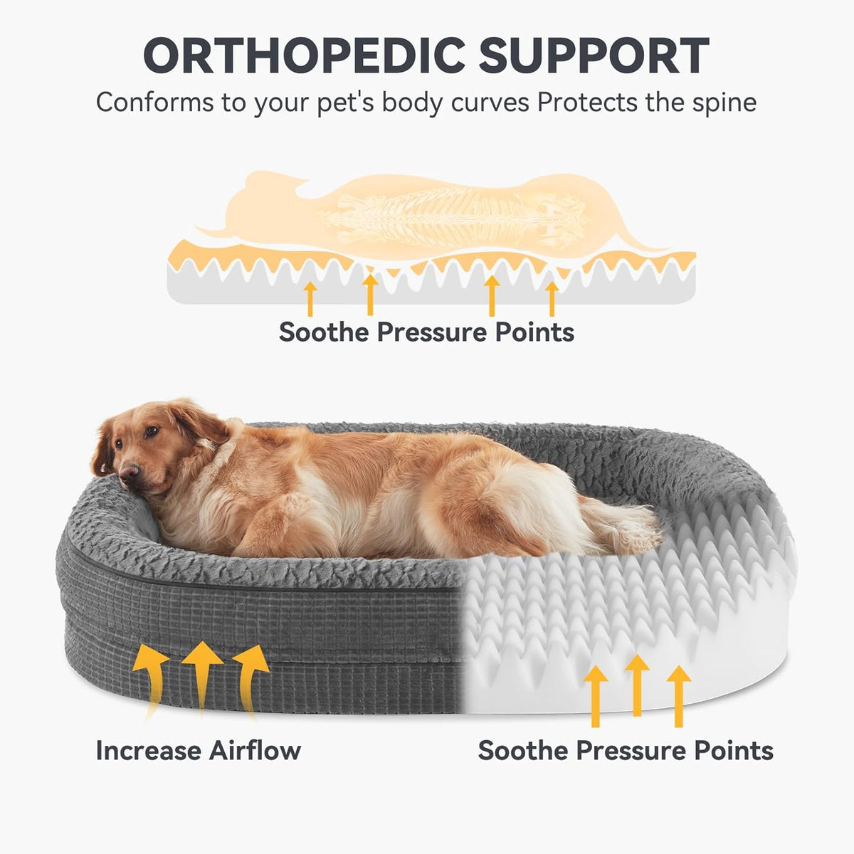 JOEJOY Orthopedic Dog Bed for Medium Dogs, Egg-Crate Memory Foam Pet Bed with Bolster Sides