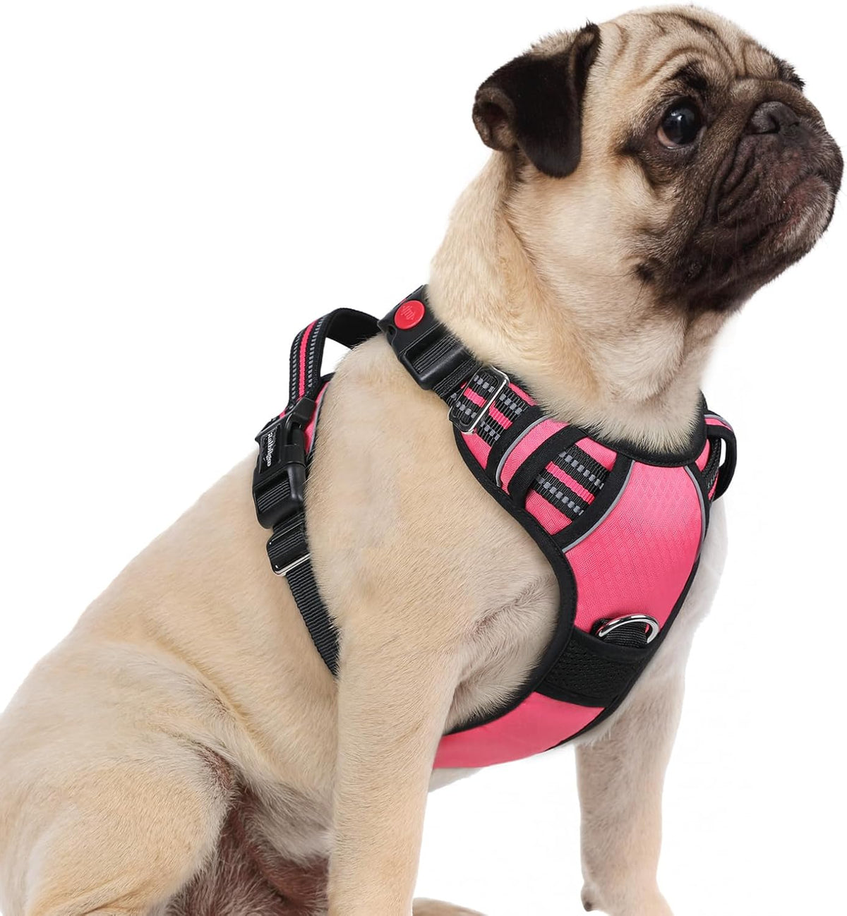 rabbitgoo Dog Harness Small Sized, No Pull Dog Vest with 3 Buckles, Adjustable Soft Padded Pet