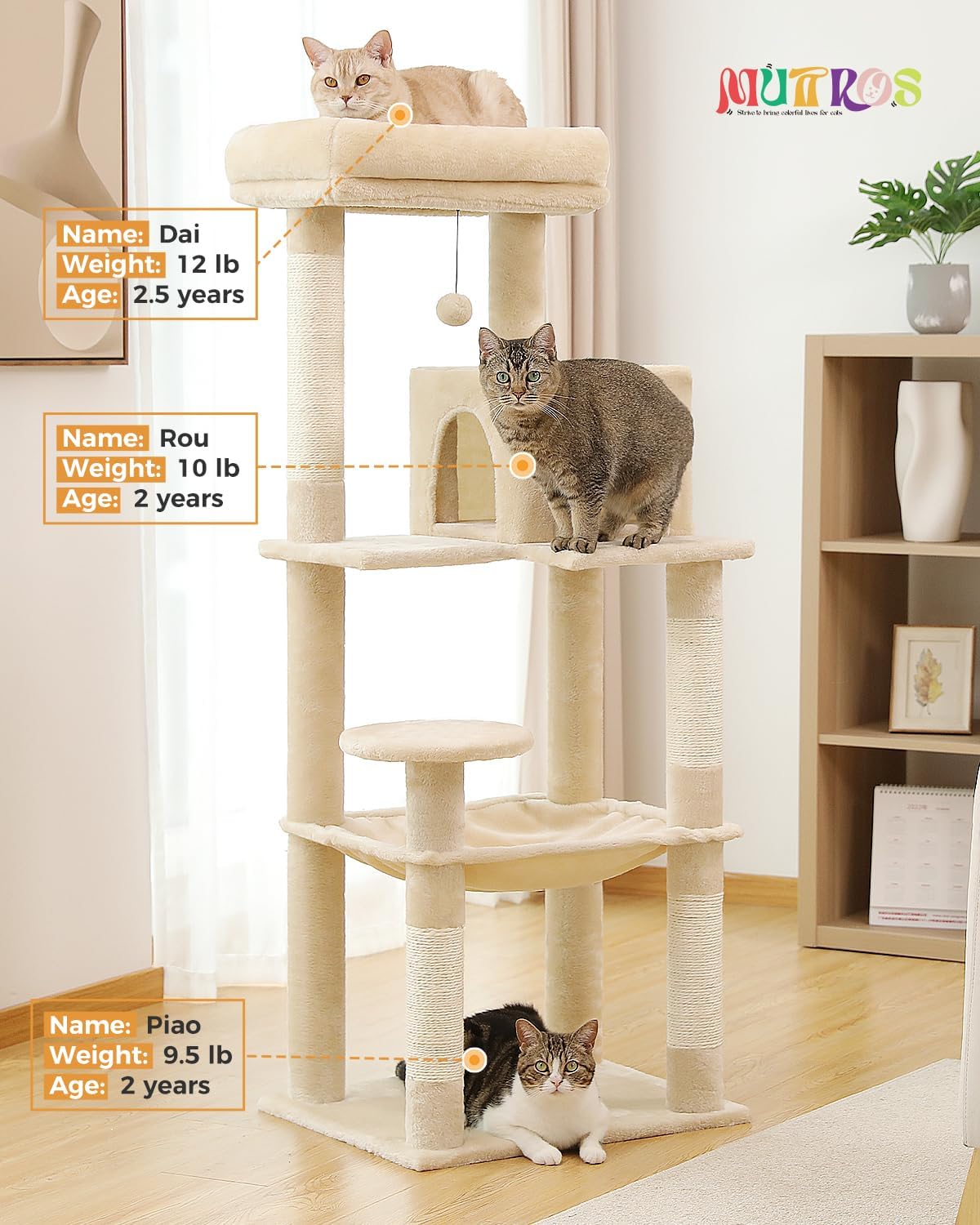 Cat Tree for Large Cats Adult with Metal Plush Big Hammock, 56.3" Cat Tower with 2 Door Condo