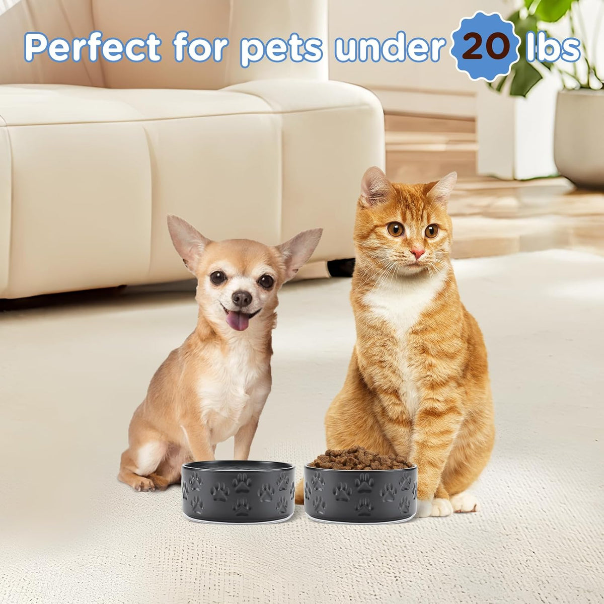 SPUNKYJUNKY Ceramic Dog and Cat Bowls 2 Pack, 5.1'' Dog and Cat Food Water Double Feeding Bowls