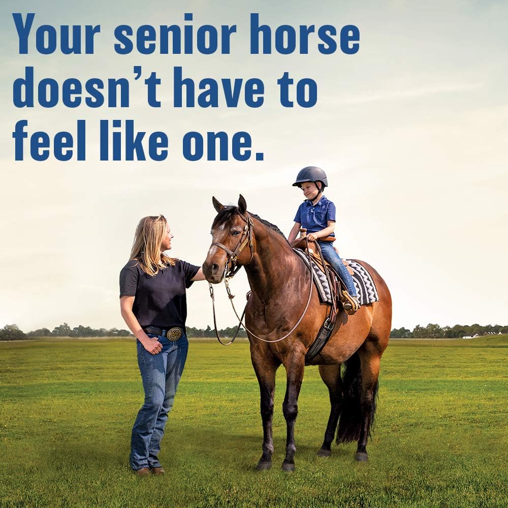 Absorbine Bute-Less Long-Term Horse Comfort & Recovery Supplement Paste, Gentle on Stomach, Devil’s