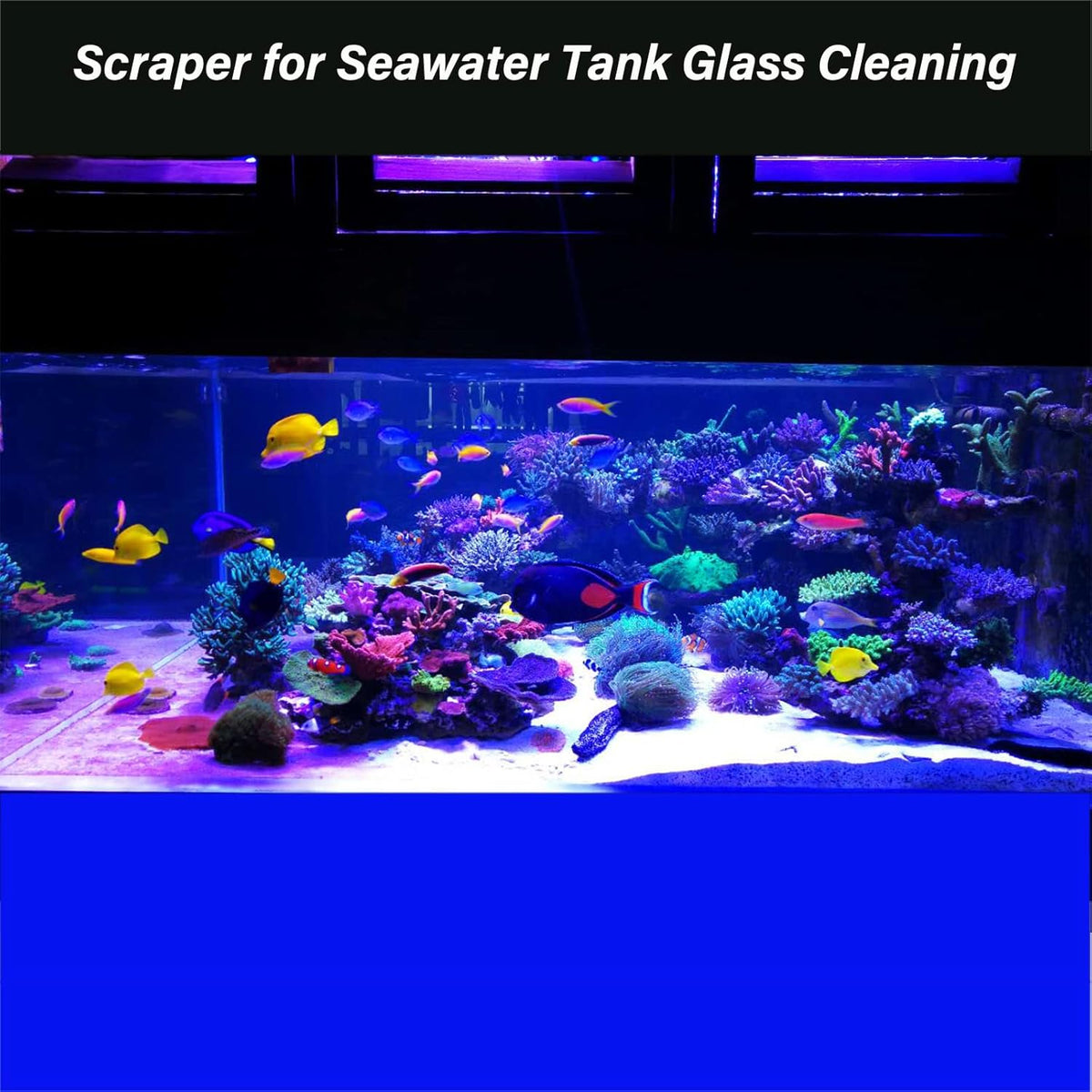 Algae Scraper for Glass Aquarium,Aquarium Razor Scraper with 10 Replaceable Blades,Aquarium