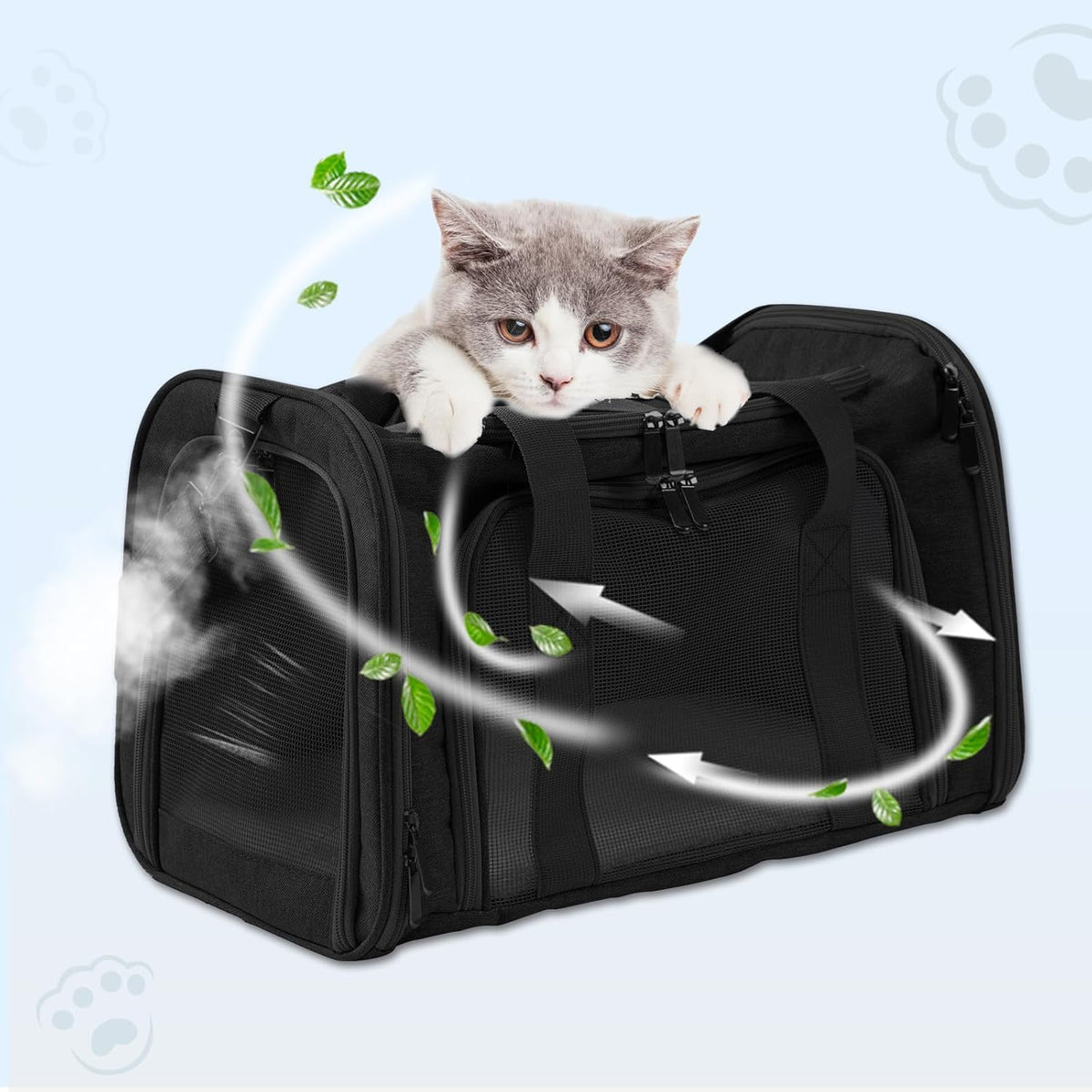 Roaringkitty Travel in Style: Portable Pet Carrier for Small Pets up to 15 Lbs- Airline Approved