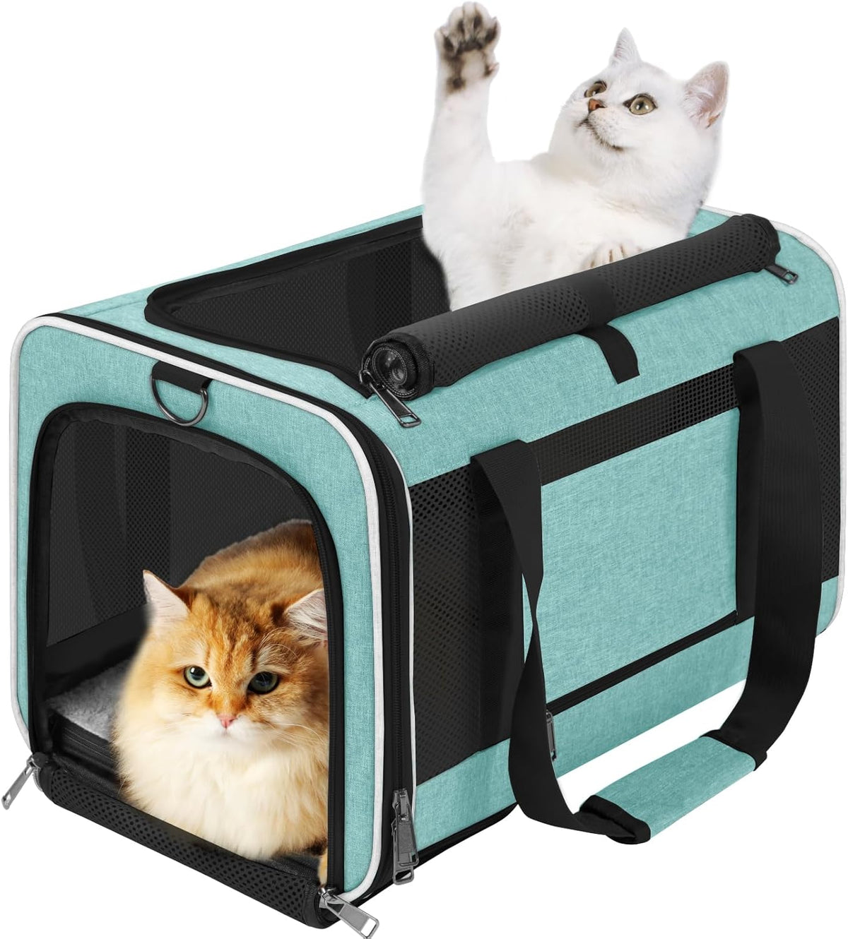 Soft Cat Carrier Large Cat 20 lbs/Kitty Cat Travel Crate for Pet Top Load/Small Dog Sturdy