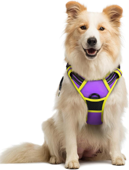rabbitgoo Dog Harness No Pull with 2 Leash Clips, Adjustable Soft Padded, Reflective Oxford No