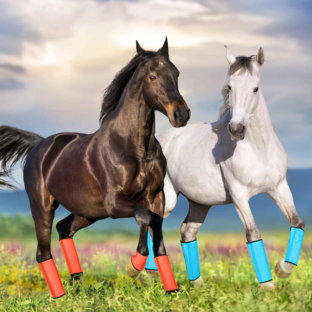 Jexine 12 Fly Boots for Horse Set of 12 Loose Breathable Mesh Horse Fly Sheets Protective Horse Leg