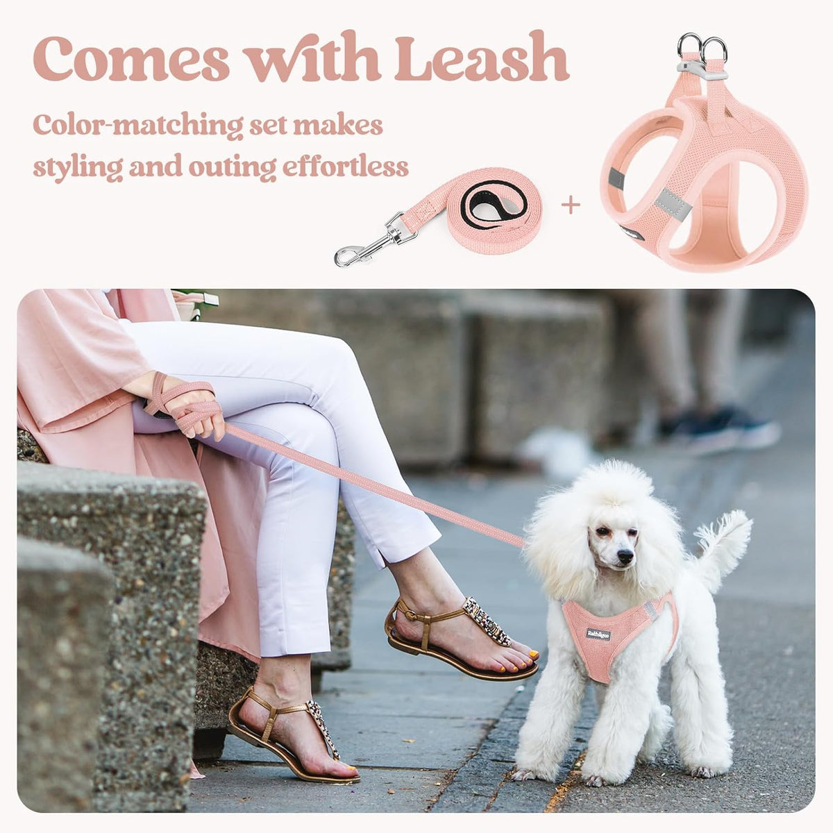 rabbitgoo Dog Harness Small Sized and Leash Set, Step in Soft Light Puppy Vest, Breathable Mesh Pet