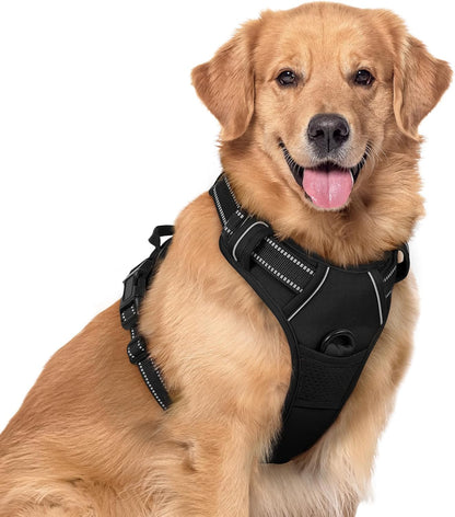rabbitgoo Dog Harness No Pull with 2 Leash Clips, Adjustable Soft Padded, Reflective Oxford No