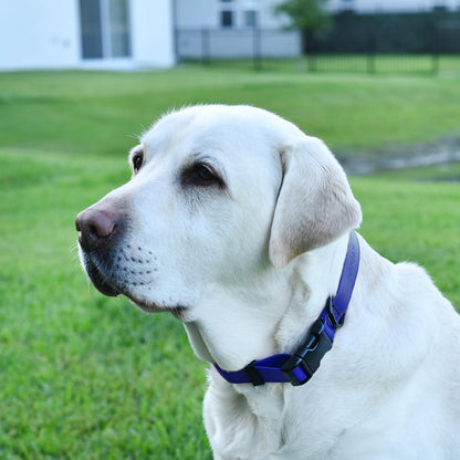 Dogline Biothane Waterproof Dog Collar with Quick Release Buckle Strong Coated Nylon Webbing with