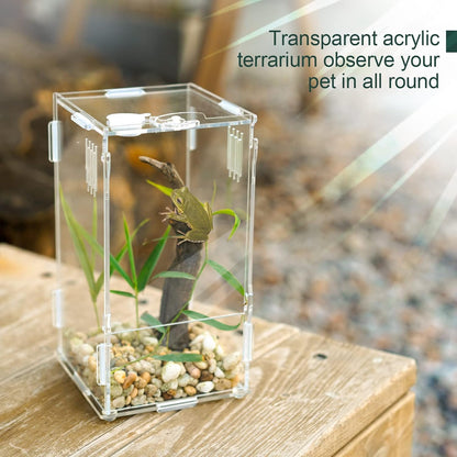 BETAZOOER Acrylic Mini Reptile Tank Habitat Transparent Terrariums with Locking Latch Suitable for