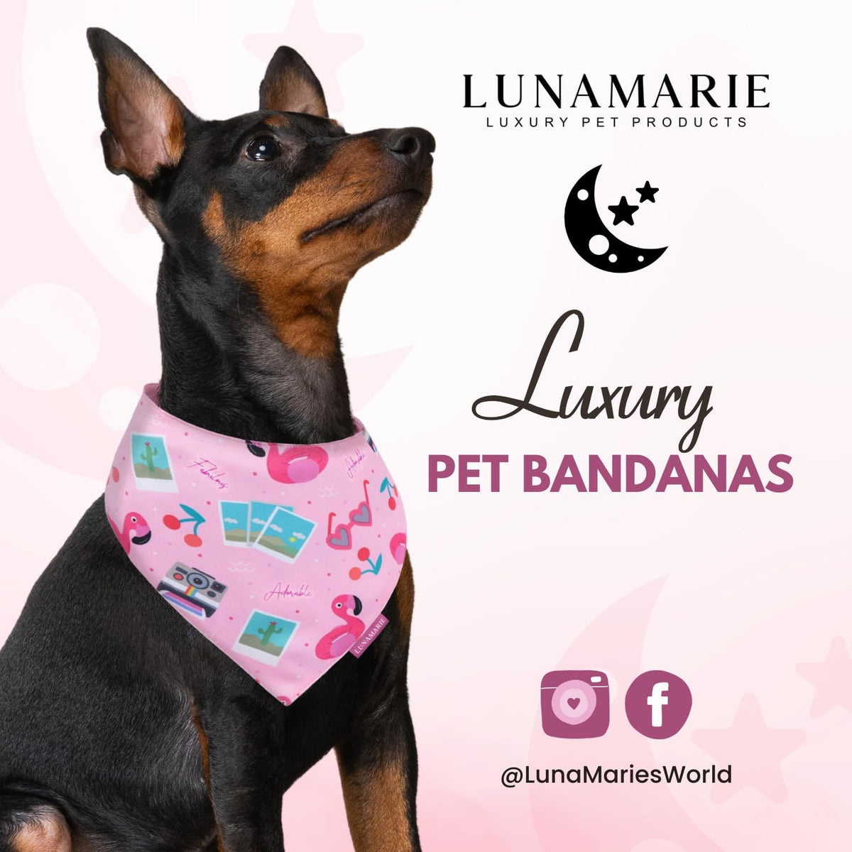 LunaMarie - Luxury Pet Birthday Bandanas -Premium & Silky Poly Fabric | 100% Handmade | Custom