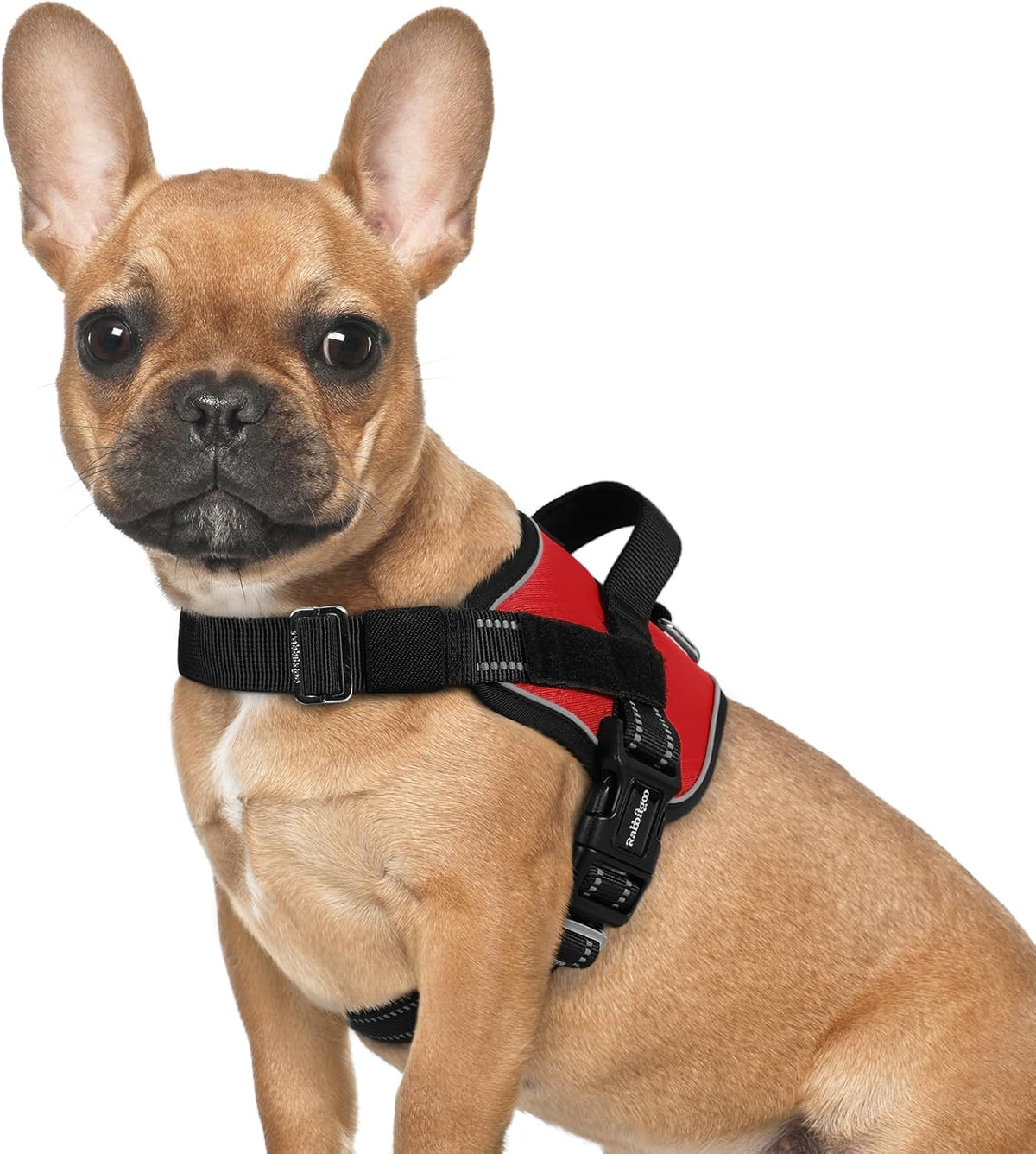 rabbitgoo Dog Harness for Small, Easy On Pet Vest with One Buckle, No Pull Adjustable Service