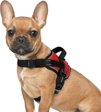 rabbitgoo Dog Harness for Small, Easy On Pet Vest with One Buckle, No Pull Adjustable Service