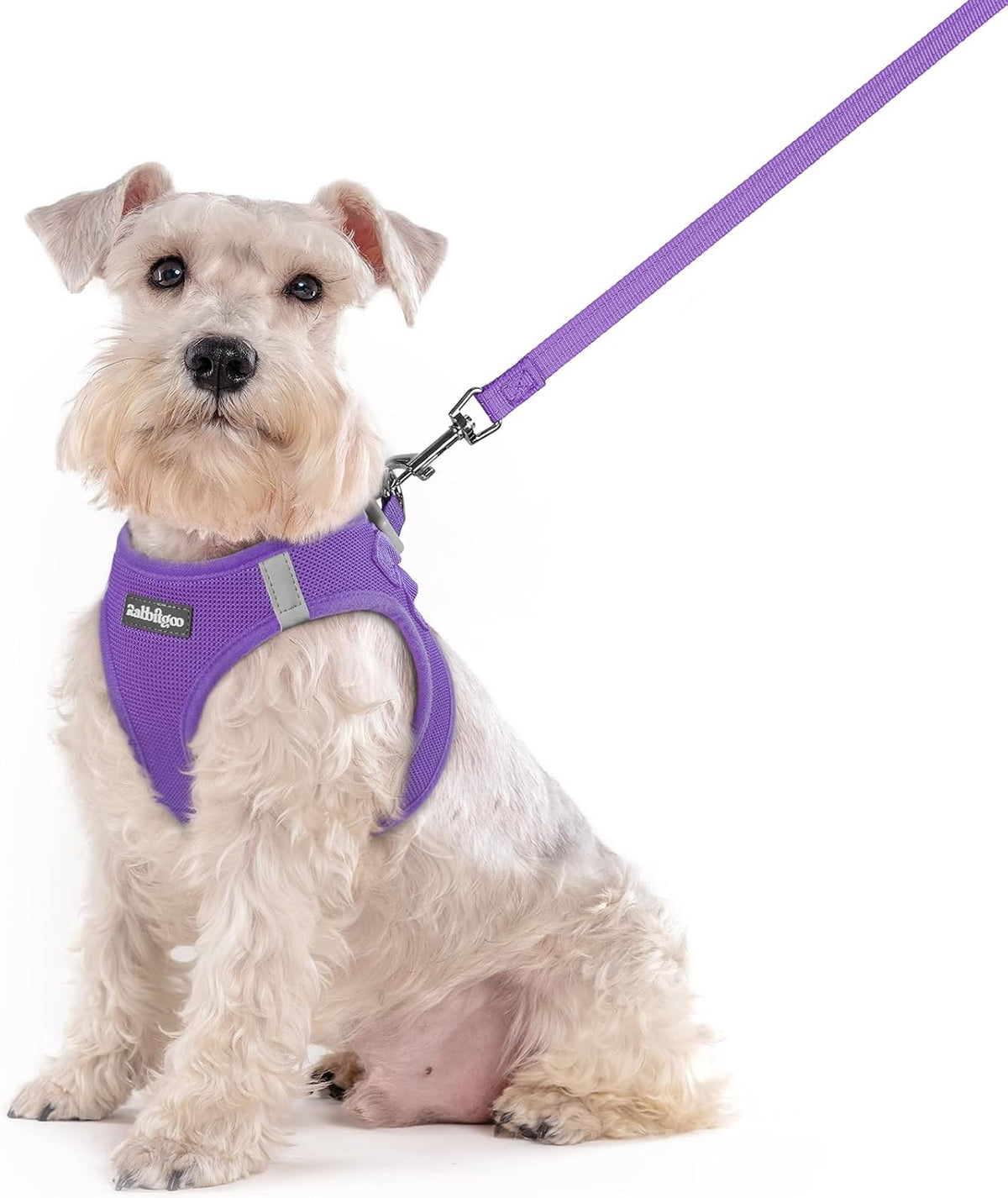 rabbitgoo Dog Harness Small Sized and Leash Set, Step in Soft Light Puppy Vest, Breathable Mesh Pet