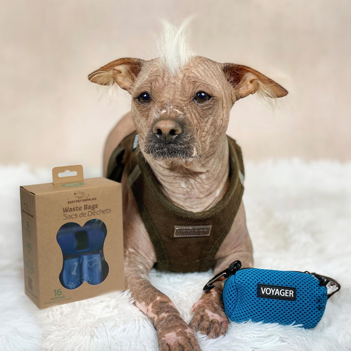 Best Pet Supplies Dog Poop Bags (240 Bags) for Waste Refuse Cleanup, Doggy Roll Replacements for