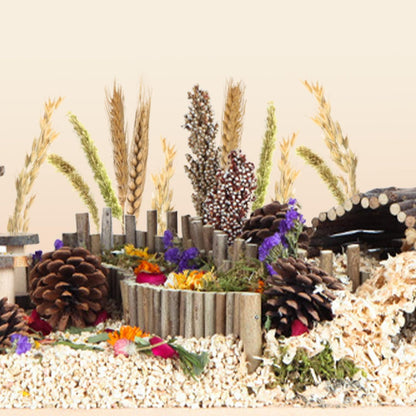 Natural Ear of Grain Flower&Herb Bedding Mate Habitat Decor, Adding Fun Hamster Accessories for