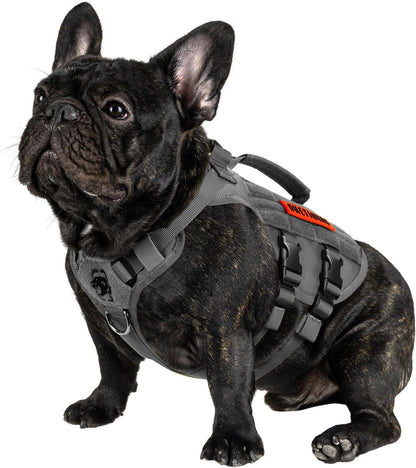 OneTigris Tactical Dog Harness for Small Dogs, No Pull Small Dog Vest Harness with Handles