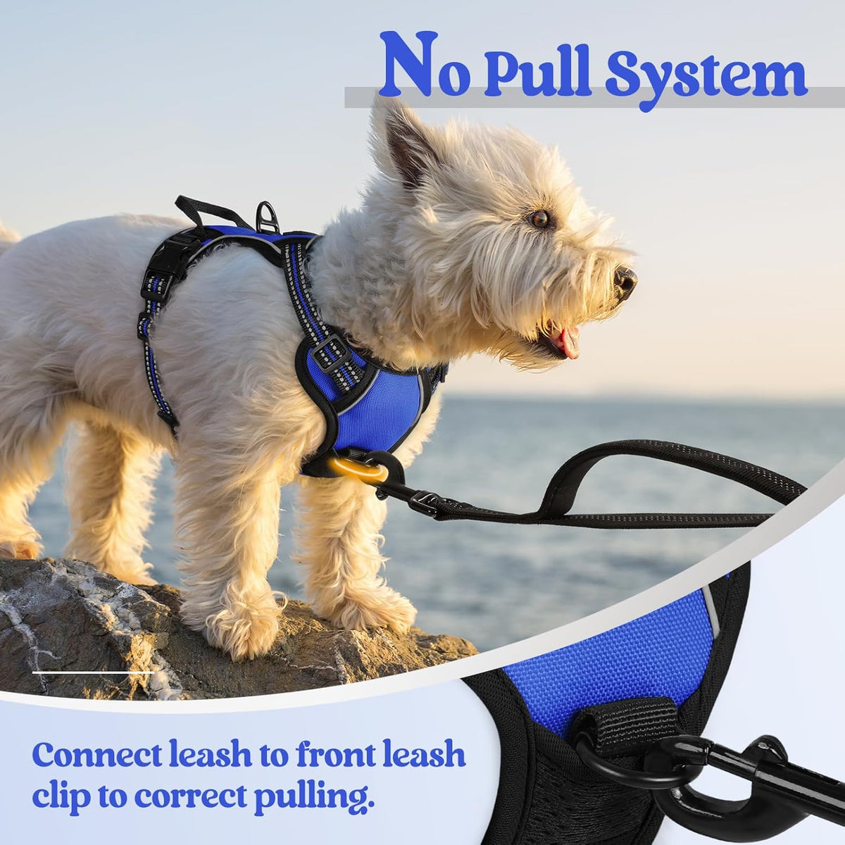 rabbitgoo Dog Harness No Pull with 2 Leash Clips, Adjustable Soft Padded, Reflective Oxford No
