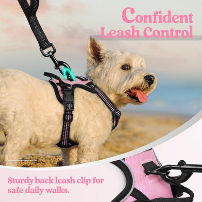 rabbitgoo Dog Harness No Pull with 2 Leash Clips, Adjustable Soft Padded, Reflective Oxford No