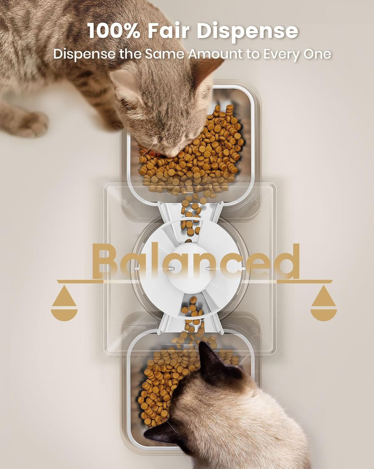 oneisall Automatic Cat Feeder for 2 Cats, 20 Cups/5L Automatic Cat Food Dispenser for Small Pets