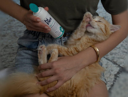 Hi Pet Dog Paw Cleaner Foam with Built-in Paw Scrubber Brush, Paw Cleaner for Dogs and Cats, Cat