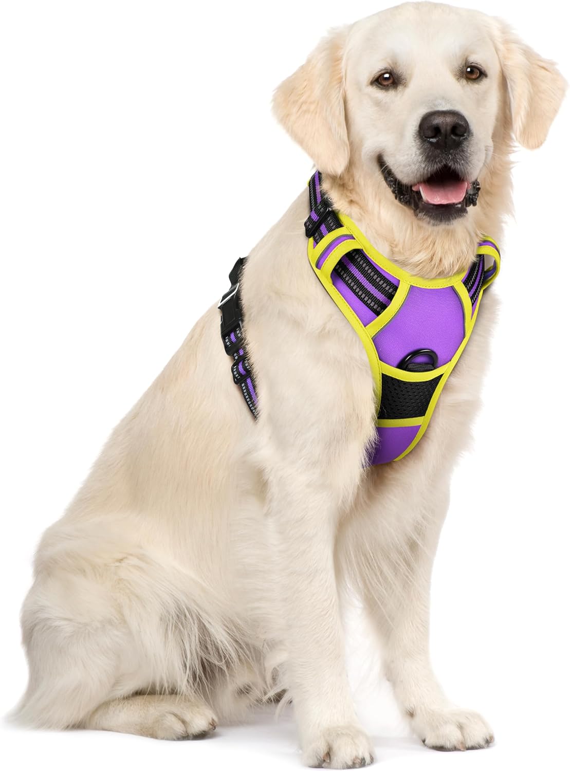 rabbitgoo Dog Harness No Pull with 2 Leash Clips, Adjustable Soft Padded, Reflective Oxford No