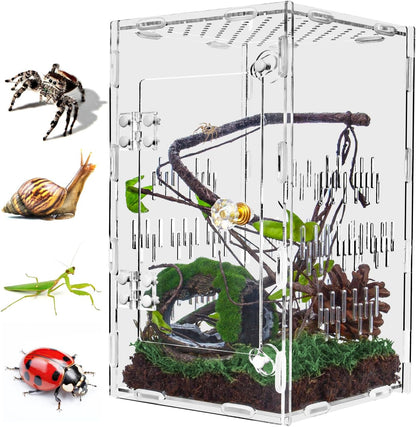 Jumping Spider Enclosure, Large Acrylic Praying Mantis Habitat, 10"*6"*6" Ventilated Insect
