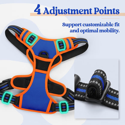 rabbitgoo Dog Harness No Pull with 2 Leash Clips, Adjustable Soft Padded, Reflective Oxford No