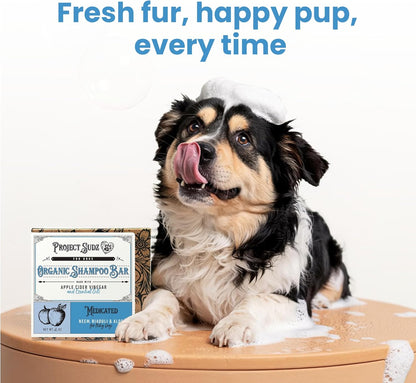 Medicated Organic Dog Shampoo Bar for Hot Spots, Dry Coat, and Allergies, All Natural Dog Shampoo