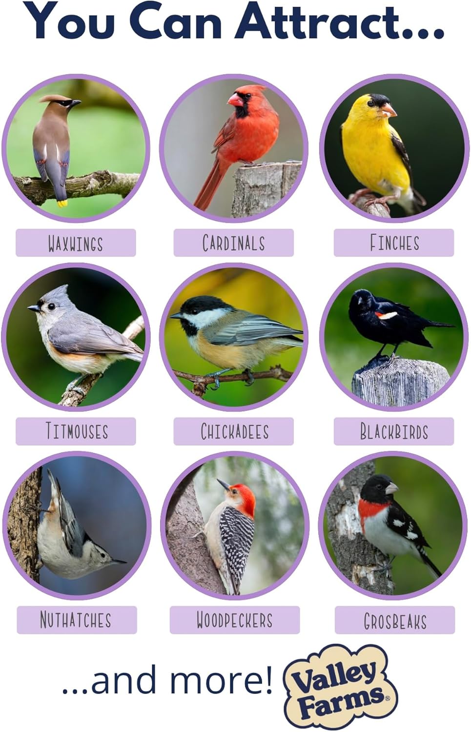 Valley Farms Fruit Nut & Berry 4 LB 2-Pack (8 LB Total) Wild Bird Food for Outside Feeders, Bird