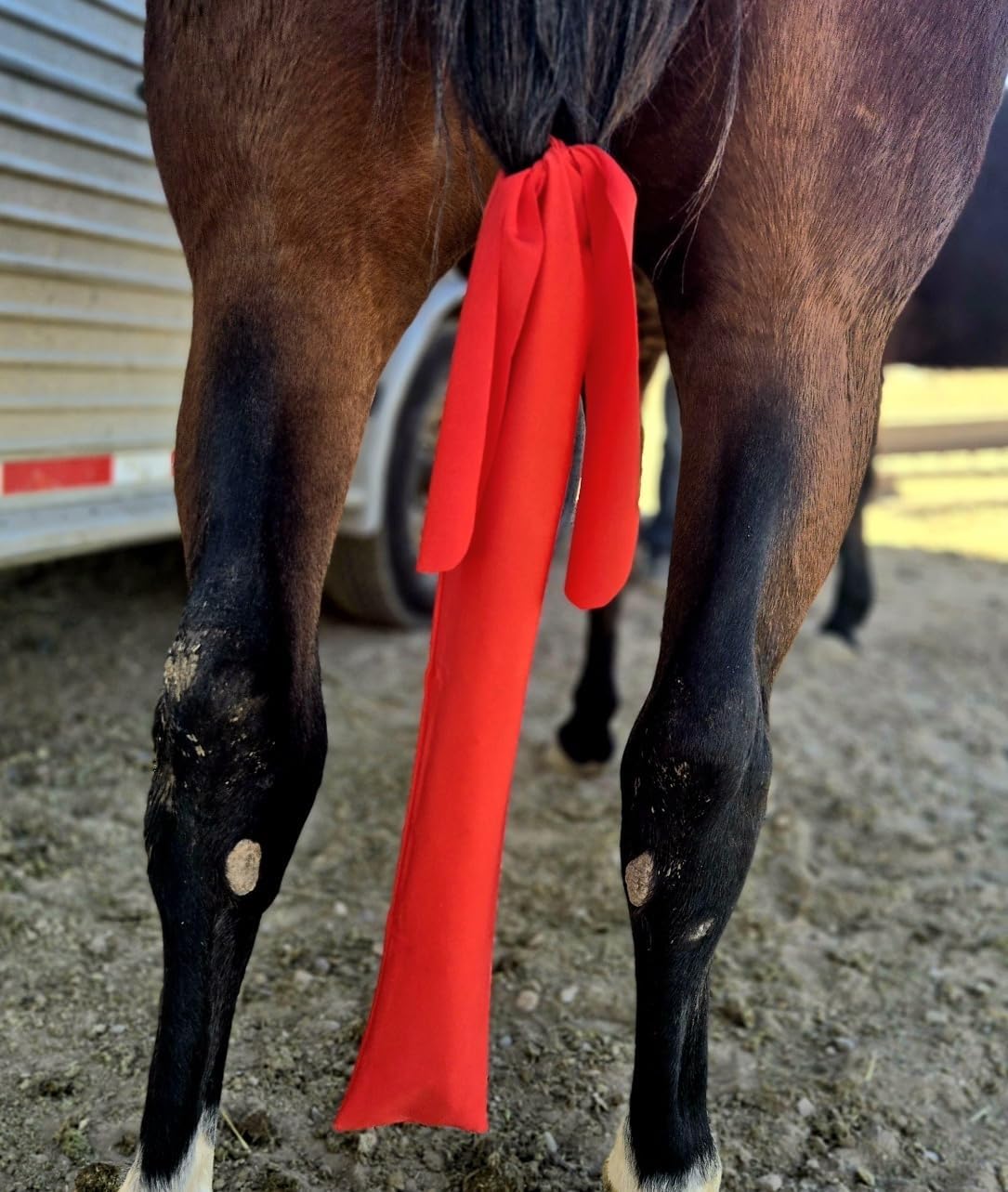 Ranch Hand Horse Tail Bag - Stretchable Horse Tail Bag Made from Durable Stretchy Material