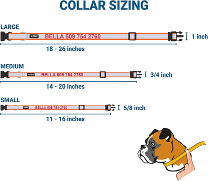 GoTags Reflective Personalized Dog Collar with Nameplate, Adjustable Dog Collar with Custom