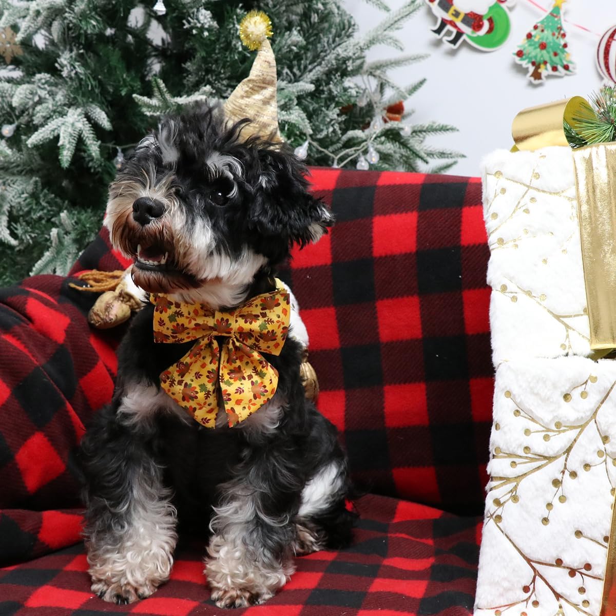Lionet Paws Thanksgiving Day Dog Collar with Bowtie, Dogs Sailor Bow Collar with Metal Buckle for