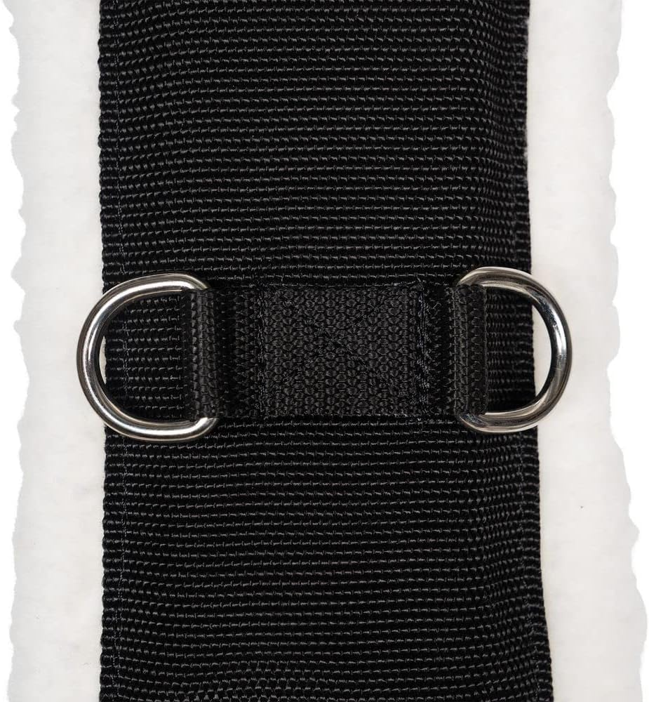 Dura-Tech Fleece Lined Training Surcingle for Horses | Essential for Lunging Work | Comfortable